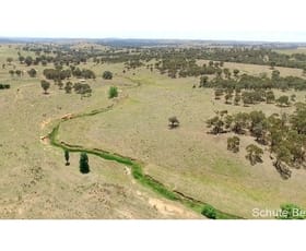 Rural / Farming commercial property sold at Biala NSW 2581