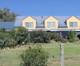 Rural / Farming commercial property sold at 238 Kerridene Road Piallamore NSW 2340
