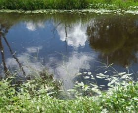 Rural / Farming commercial property sold at Off Mount Woowoonga Road, Via Biggenden Woowoonga QLD 4621