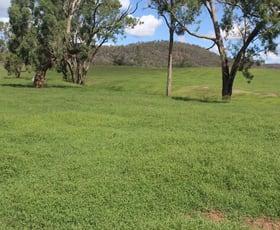 Rural / Farming commercial property sold at " Olive Vale" Bingara NSW 2404