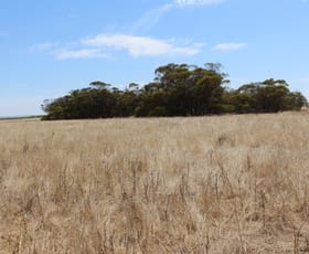 Rural / Farming commercial property sold at Lot M344 Mt Horner Road Yardarino WA 6525