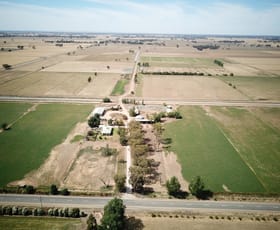 Rural / Farming commercial property sold at 425 Sandmount Road Katunga VIC 3640