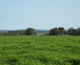 Rural / Farming commercial property sold at 1147 Chester Pass Road King River WA 6330