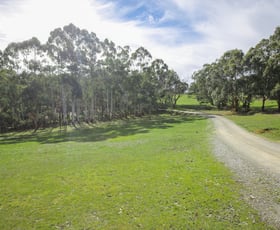 Rural / Farming commercial property sold at 31 Synbank Road Kersbrook SA 5231