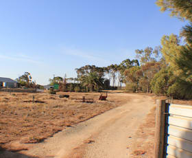 Rural / Farming commercial property sold at 214 Shellgrit Road Two Wells SA 5501