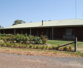 Rural / Farming commercial property sold at 128 Habel Road Nagambie VIC 3608