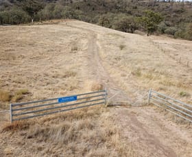 Rural / Farming commercial property sold at Pleasant Hills 4052 Halls Creek Road Bendemeer NSW 2355