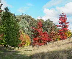 Rural / Farming commercial property sold at 142 Red Hill Road Beechworth VIC 3747