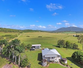 Rural / Farming commercial property sold at 161 Tweedies Road The Leap QLD 4740