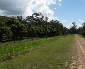 Rural / Farming commercial property sold at 497 Muller Road Baffle Creek QLD 4674