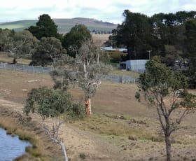 Rural / Farming commercial property sold at 4042 Kings Highway Bungendore NSW 2621