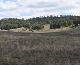Rural / Farming commercial property sold at 151 Lowrie Drive Wellington NSW 2820