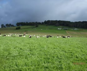 Rural / Farming commercial property sold at 7721 Thunderbolts Way Nowendoc NSW 2354