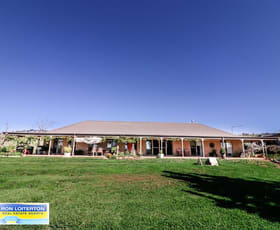 Rural / Farming commercial property sold at 789 Back Brawlin Road Cootamundra NSW 2590 Rural / Farming commercial property sold at 789 Back Brawlin Road Cootamundra NSW 2590