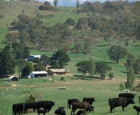 Rural / Farming commercial property sold at 1124 Gullies Road Moonbah NSW 2627