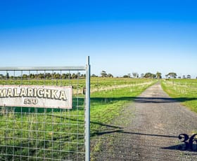 Rural / Farming commercial property sold at 530 Little River Ripley Rd Little River VIC 3211