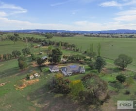 Rural / Farming commercial property sold at "Greenbank" 2847 Snowy Mountains Highway Adelong NSW 2729