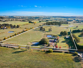 Rural / Farming commercial property sold at 39 Oldbury Road Sutton Forest NSW 2577