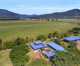Rural / Farming commercial property sold at 136 Crossland Road Gordonvale QLD 4865