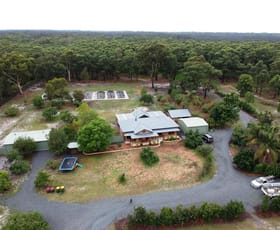 Rural / Farming commercial property sold at 1098 The Lakes Way Darawank NSW 2428