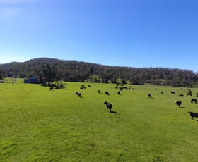 Rural / Farming commercial property sold at 484 Pigman Rd Dyraaba NSW 2470 Rural / Farming commercial property sold at 484 Pigman Rd Dyraaba NSW 2470