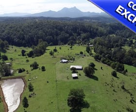 Rural / Farming commercial property sold at 16 Ironbark rd Mount Burrell NSW 2484