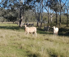 Rural / Farming commercial property sold at Brooklands QLD 4615