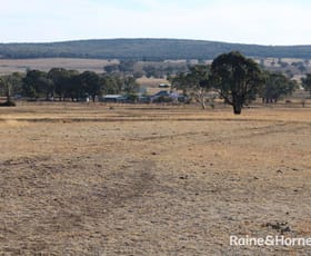 Rural / Farming commercial property sold at 6838 Henry Parkes Way Parkes NSW 2870