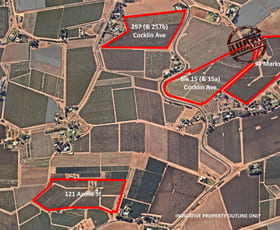 Rural / Farming commercial property for sale at 54 Marks Rd, Blk 15 & 257 Cocklin Ave & 121 Azolia St Red Cliffs VIC 3496