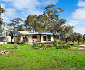 Rural / Farming commercial property sold at 103 Gully Road Welshmans Reef VIC 3462