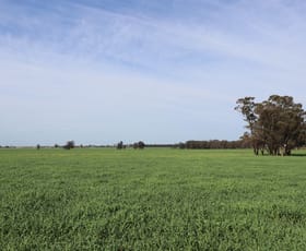 Rural / Farming commercial property sold at West Wyalong NSW 2671