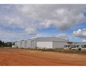 Rural / Farming commercial property for sale at 341 Mulligan Highway Mareeba QLD 4880