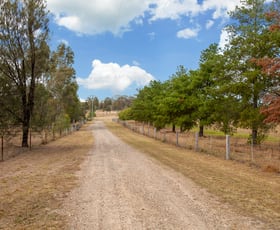 Rural / Farming commercial property sold at 75 Wollemi Peak Road Bulga NSW 2330
