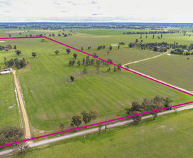 Rural / Farming commercial property sold at 151 MYGUNYAH LANE Mulwala NSW 2647