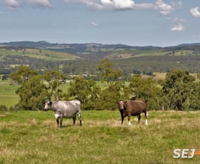 Rural / Farming commercial property sold at 255 Vaggs Rd Yinnar VIC 3869