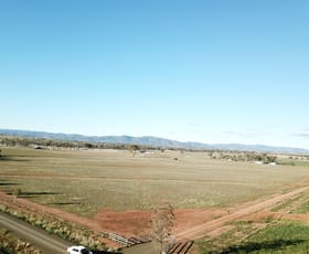 Rural / Farming commercial property sold at Lot 102, 63 Phillip Lane Tamworth NSW 2340
