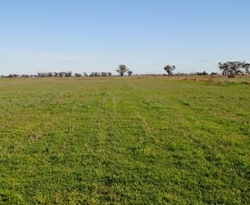 Rural / Farming commercial property sold at 47 Loofs Road Katamatite East VIC 3649