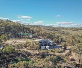 Rural / Farming commercial property sold at 36 Priors Lane Billywillinga NSW 2795