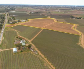 Rural / Farming commercial property for sale at 135 Boobook Avenue Red Cliffs VIC 3496