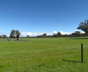 Rural / Farming commercial property sold at 26901 Brand Highway Arrowsmith WA 6525