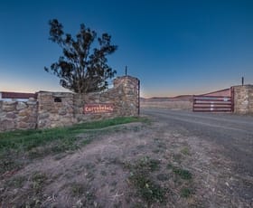 Rural / Farming commercial property sold at "Currabubula Station" 118 Keechs Road Currabubula NSW 2342