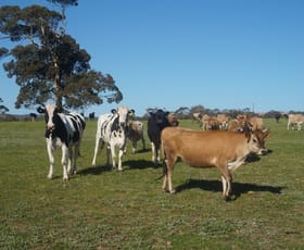 Rural / Farming commercial property sold at Lot 58 Yacca Road Yankalilla SA 5203