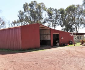 Rural / Farming commercial property sold at 4761 Brand Highway Beermullah WA 6503