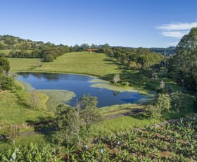 Rural / Farming commercial property sold at 840 Terranora Road Bungalora NSW 2486