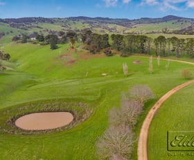 Rural / Farming commercial property sold at 334 PATTERSONS ROAD Springfield VIC 3434