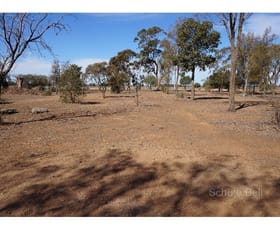 Rural / Farming commercial property sold at 378 Dappo Rd Narromine NSW 2821