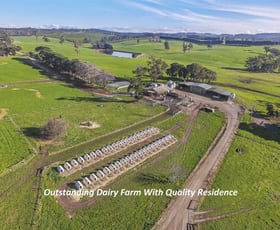 Rural / Farming commercial property sold at 121 Morwell - Thorpdale Road Driffield VIC 3840