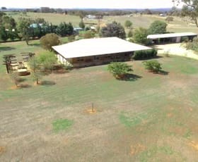 Rural / Farming commercial property sold at 603 Spring Creek Road Young NSW 2594