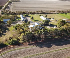 Rural / Farming commercial property sold at 166 Powerline Road Mallala SA 5502