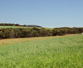 Rural / Farming commercial property for sale at 84 Lovegrove Lane Whites Flat SA 5607 Rural / Farming commercial property for sale at 84 Lovegrove Lane Whites Flat SA 5607